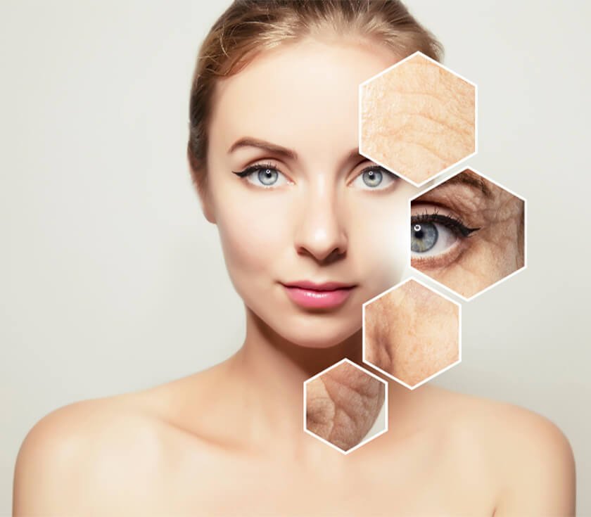 Aging and longevity