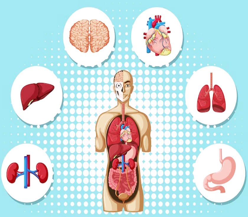 Organ specific conditions